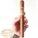 charutos romeo y julieta www.charutosbrasilia.com.br